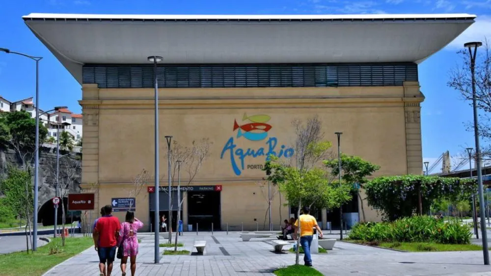 Foto: Reprodução/Instagram (aquariomarinhodorio)