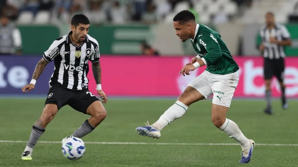 Palmeiras e Botafogo abrem a 7ª rodada do Brasileirão em São Paulo. (Foto: Cesar Greco/Palmeiras)