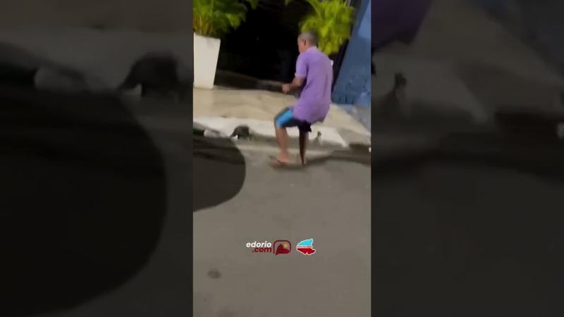 Viu isso? Vídeo que circula nas redes mostra reação do anima